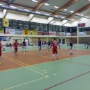 Wilki 43